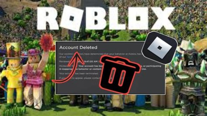 When is roblox getting deleted 2021