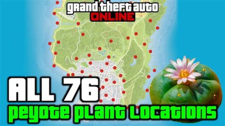 Where are all the peyote plants in gta online