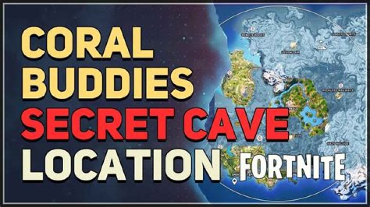 Where are the coral buddies in fortnite