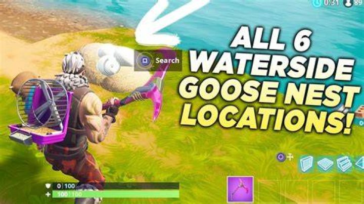 Where are the waterside goose nests in fortnite