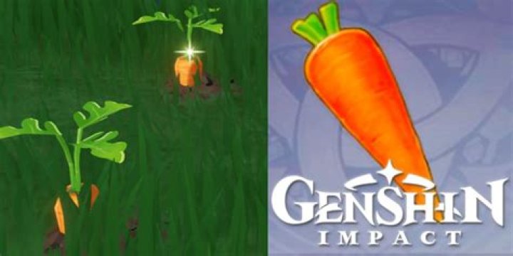 Where can i buy carrots in genshin impact