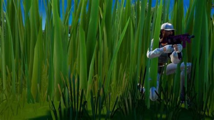 Where can i find tall grass in fortnite