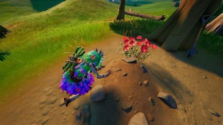 Where is bushranger in fortnite season 7