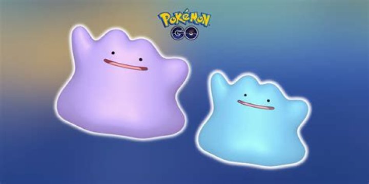 Where is ditto in pokemon go