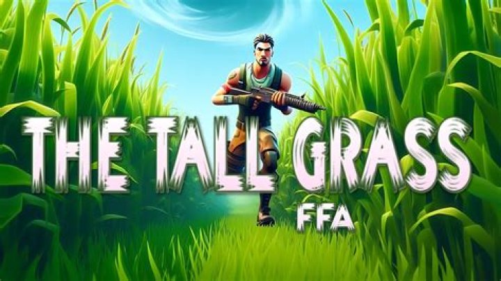 Where is tall grass at in fortnite