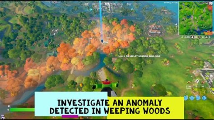 Where is the anomaly in weeping woods in fortnite