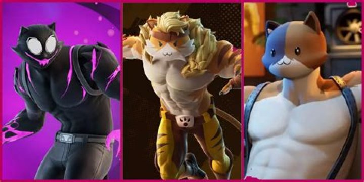 Where is the cat food fortnite