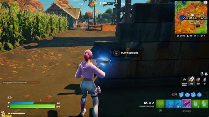 Where is the last log fortnite