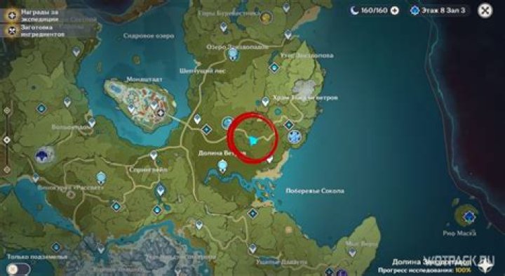 Where to buy mint in genshin impact