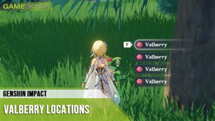 Where to buy valberry in genshin impact