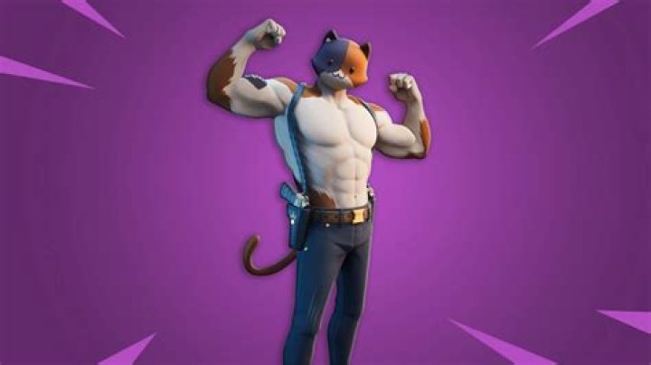 Where to collect cat food fortnite