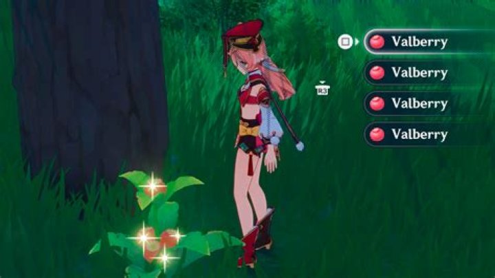 Where to get valberries genshin impact