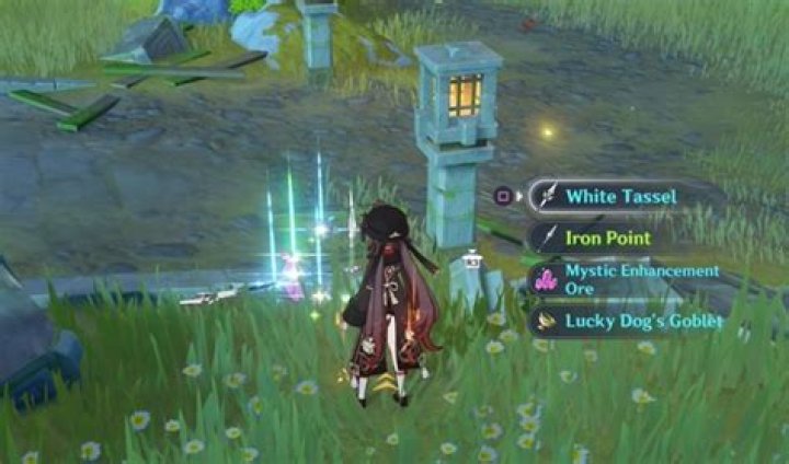 Where to get white tassel genshin impact