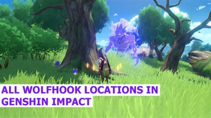 Where to get wolfhook genshin impact