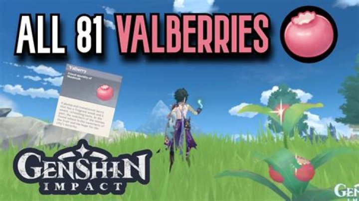 Who sells valberry genshin impact