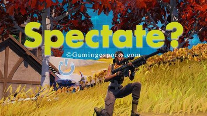 Why can’t i spectate on fortnite