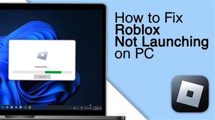 Why doesn’t roblox work
