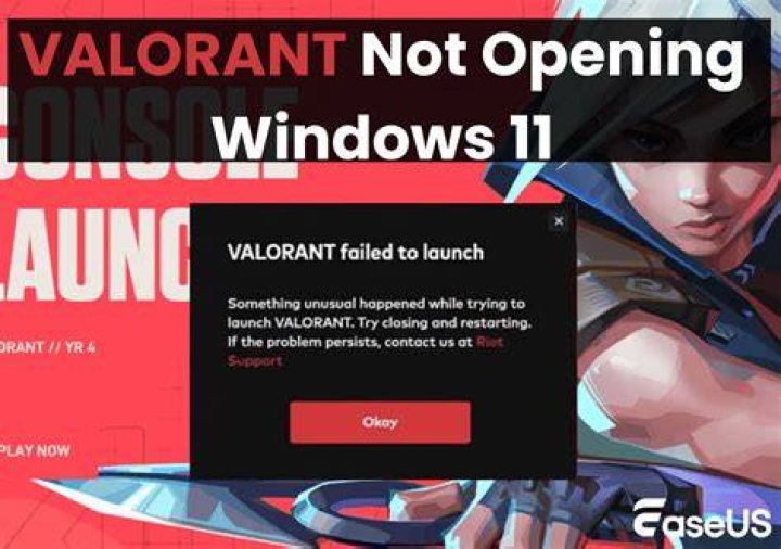 Why wont valorant launch